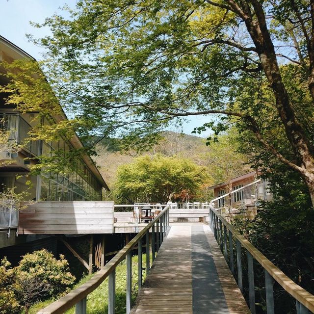 日本箱根森林隱居溫泉酒店