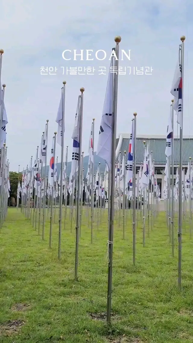 삼일절에 꼭 가봐야할 우리나라 대표여행지🇰🇷