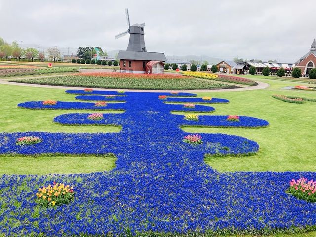 Kamiyubetsu Tulip Park 