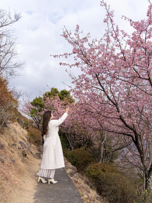 【東京都近郊】3月に行きたいお花かわかわいスポットまとめ
