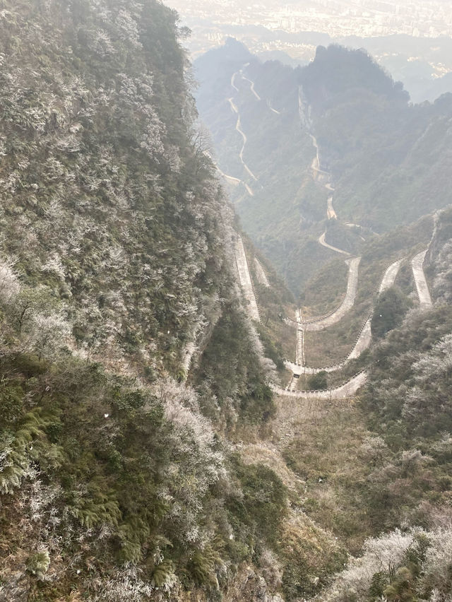 張家界｜天門山-索道🚠上天梯🚡