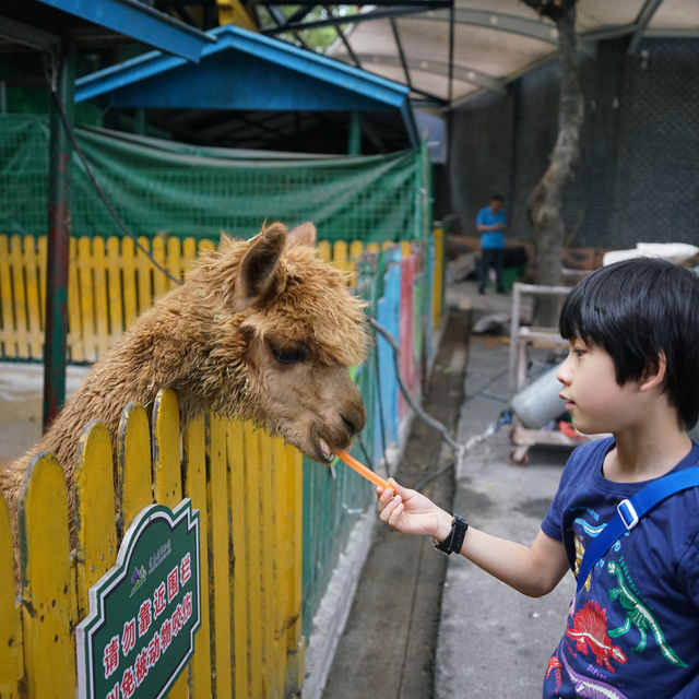 充滿驚喜的動物園