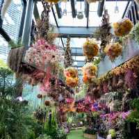 Flower fairy tale in Singapore 