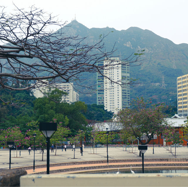 สวนสาธารณะใหญ่ ที่สุดสายรถไฟฟ้า Tuen mun 