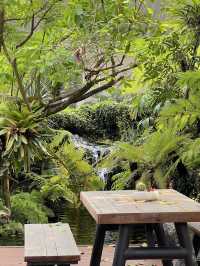 Little Plant Café & Wake Park