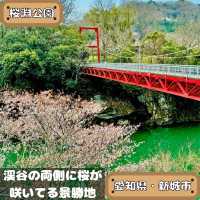 桜淵公園