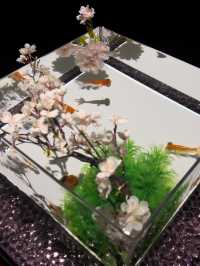 【銀座】春気分を味わうならココ🌸！アートアクアリウム美術館