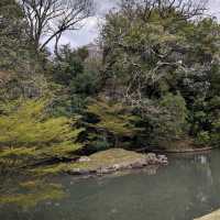 桜の季節の後楽園