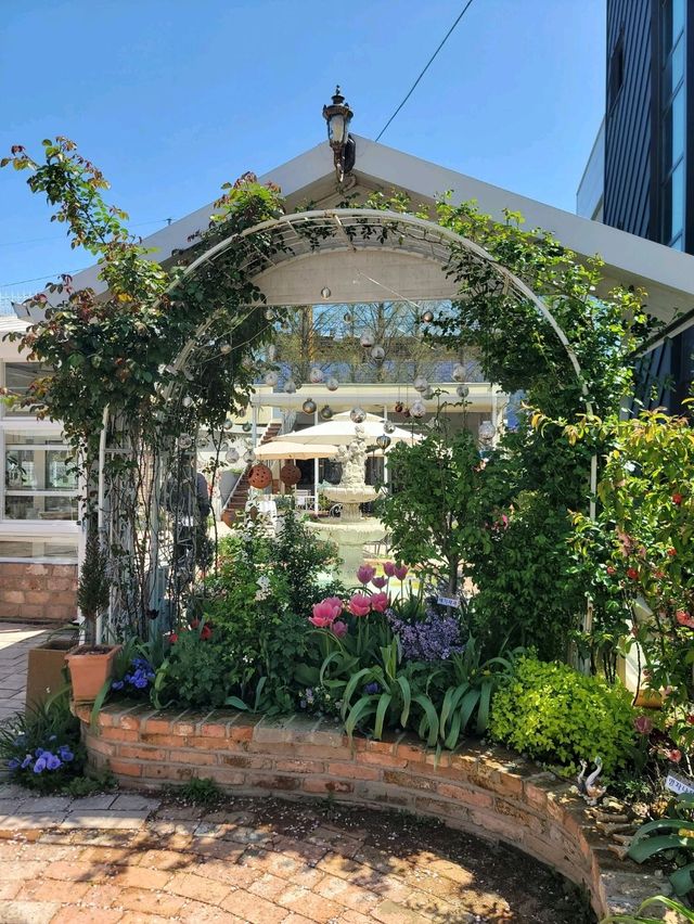 서부해당화랑 튤립이 예쁘게 핀 플라워카페🌸🌷