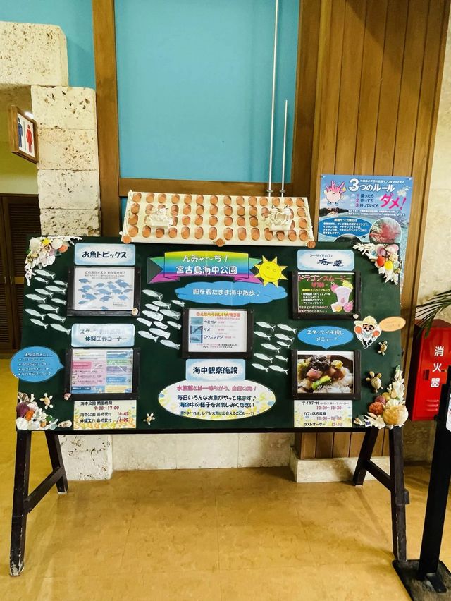 【宮古島】服を着たまま海中散歩が楽しめる！