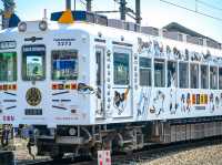 「和歌山電鐵貴志川線」：貓站長、日本藝伎同車，春天好去處
