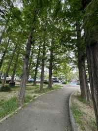 【福岡】北九州の子どもと遊べる公園