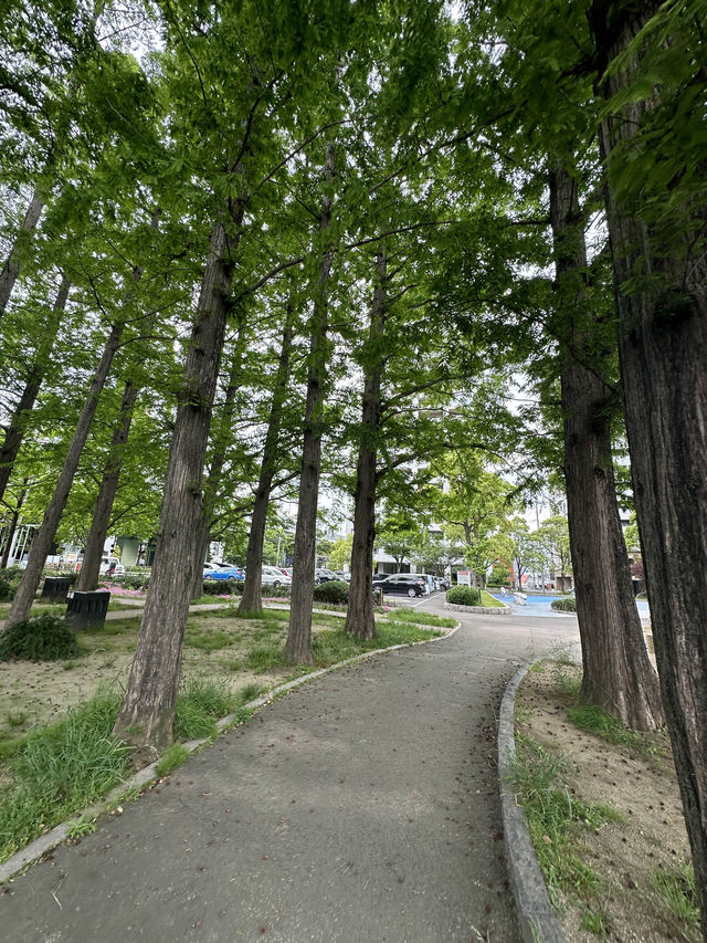 【福岡】北九州の子どもと遊べる公園