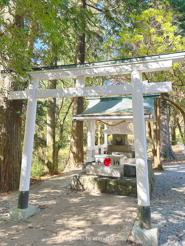 【神奈川/箱根】自然豊かな道を散歩していける九頭龍神社　本宮