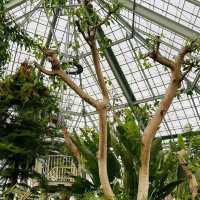 八丈植物公園：自然之美、科學教育和遊樂體驗於一體的綠色寶庫