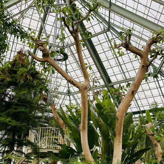 八丈植物公園：自然之美、科學教育和遊樂體驗於一體的綠色寶庫