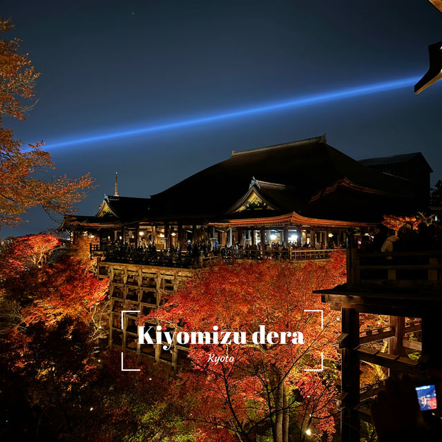 kiyomizu dera illumination 🏮🍁