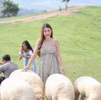 เที่ยวฟาร์มแกะ.. Akha Farmville