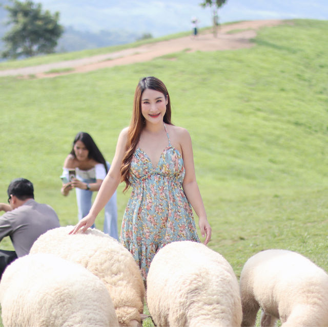 เที่ยวฟาร์มแกะ.. Akha Farmville