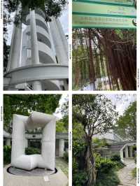🌟 香港公園之美：太極園與360度鳥瞰角探秘 🏞