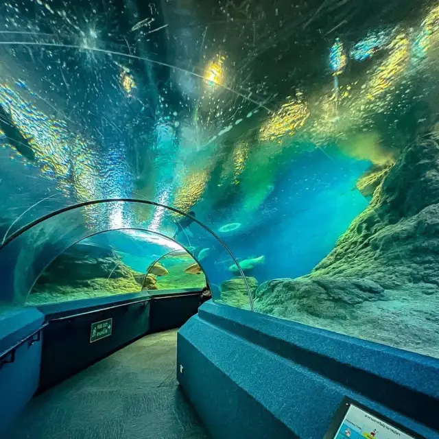 #อควาเรียมพัทยา Underwater World Pattaya อควอเรียม