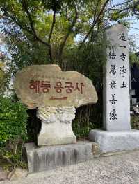 부산 바다와 절을 함께 볼 수 있는 독특한 곳 해동용궁사