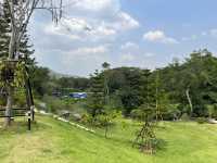 🏕️ Phu-Man Camp&Cafe จ.เพชรบุรี 🏕️