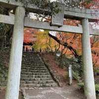【福岡観光】黒門周辺のかえでが見頃だった