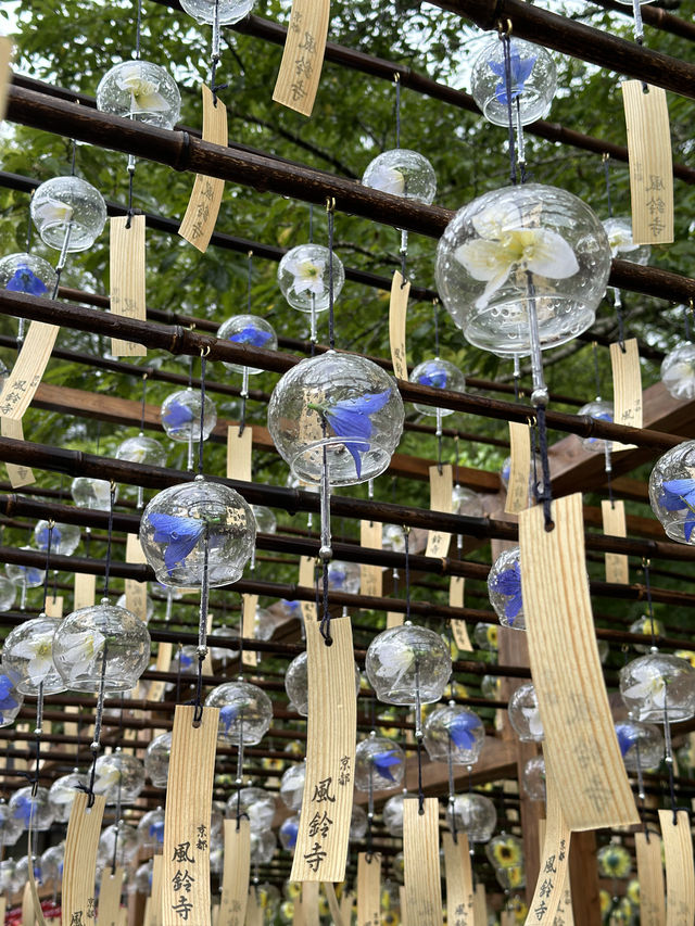 〜京都府〜夏の風鈴寺🎐♡の窓が可愛いお寺さん