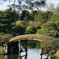 長野公園：恬靜優雅的日式庭園，感受日式庭園文化氛圍