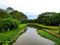 Springleaf Nature Park