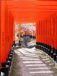 【青森にもあった！】千本鳥居絶景スポット⛩️⛩️高山稲荷神社