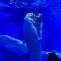 Shanghai Haichang ocean park