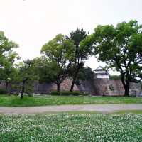 Delve into the wonders of Japan’s ancient history