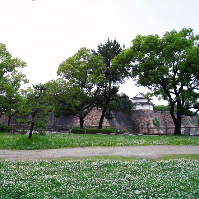 Delve into the wonders of Japan’s ancient history
