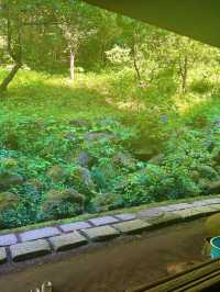 〜神奈川県〜初夏を感じる都会の癒しスポット