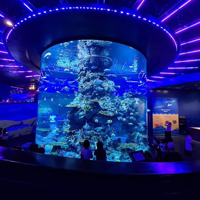 A Splashing Good Time at SEA Aquarium Sentosa