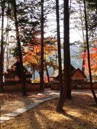 秋天必去景點- 南怡島