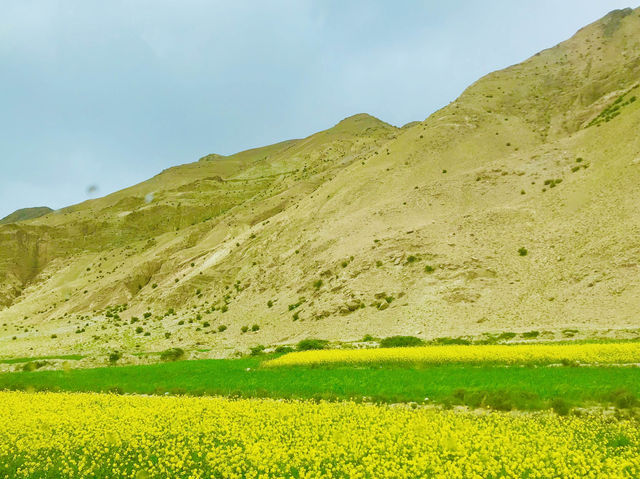 The stunning and natural beauty of Tibet 🇨🇳