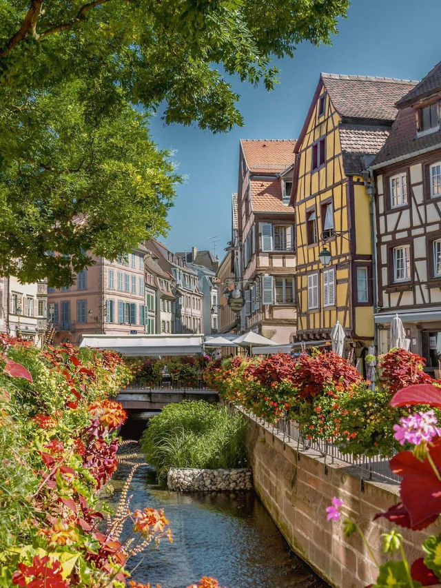 Colmar ลิตเติ้ลเวนิสแห่งฝรั่งเศส