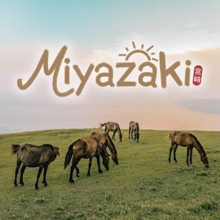 搭乘遊船遊覽高千穗峽谷，品嚐宮崎牛肉 