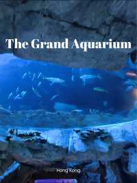 ท่องโลกใต้ทะเลที่ The Grand Aquarium Hong Kong 🐡