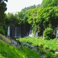 Shiraito Falls 