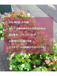【兵庫】まるで海外？神戸にあるアーチの回廊「大丸神戸店」