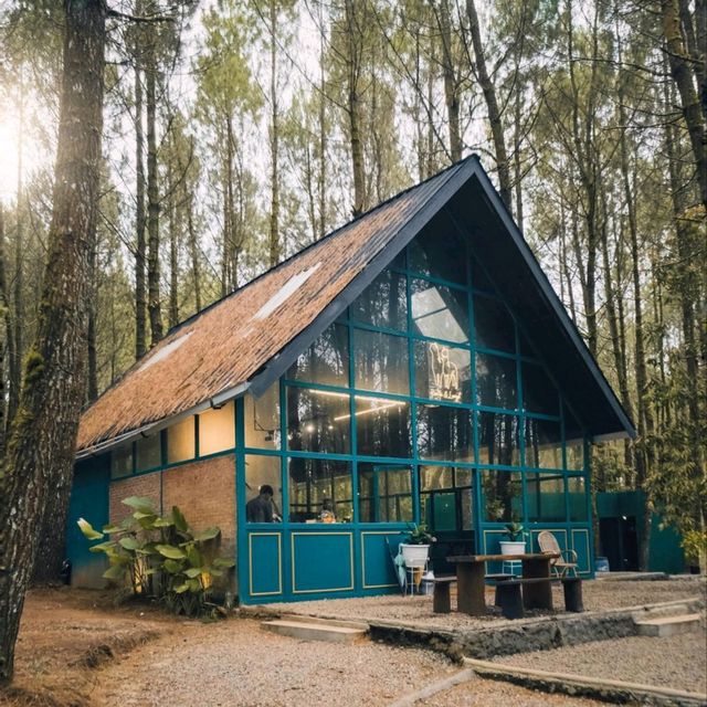 TANGKAL PINUS | NEW CAMPING GROUND AT LEMBANG