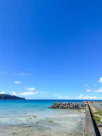 【和歌山】串本で夢中になったシュノーケリング体験🏝️✨