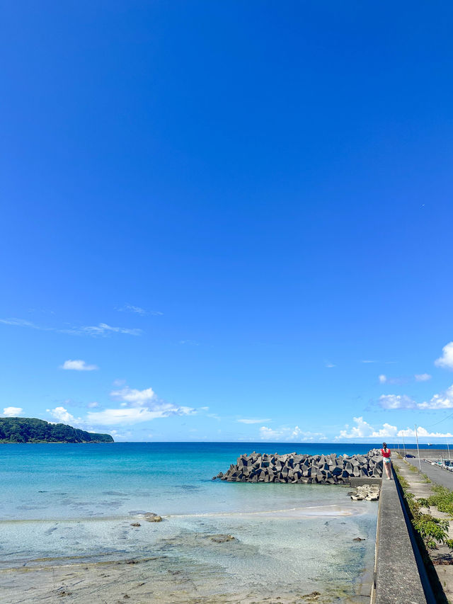 【和歌山】串本で夢中になったシュノーケリング体験🏝️✨