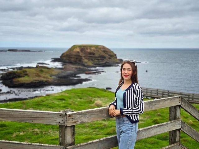 Philip Island, The Nobbies