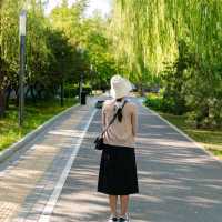 Discover Beijing, China 🇨🇳
