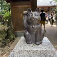 東京另類探貓行程 - 招財貓神社 「豪德寺」